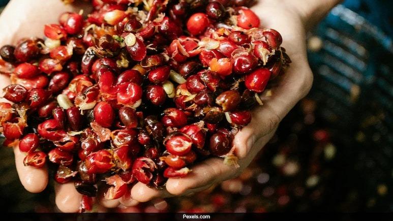 Sip Your Way Around the World Top Destinations for Coffee Lovers This International Coffee Day