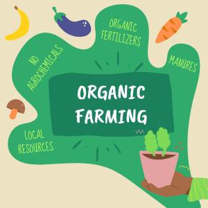 Navigating Volatility Strategies for Investing in a Turbulent Stock Market