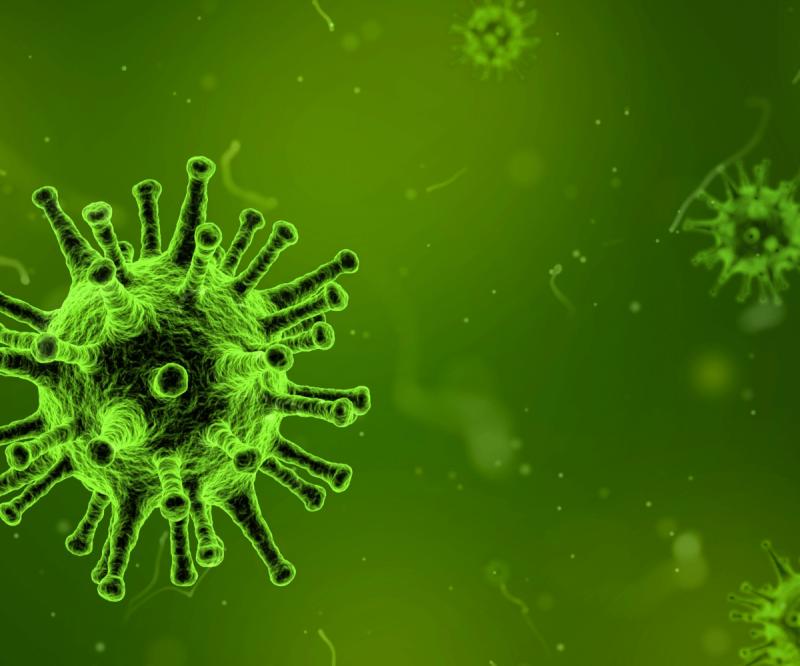 Indian Airports, Borders On Alert As Global Mpox Cases Rise