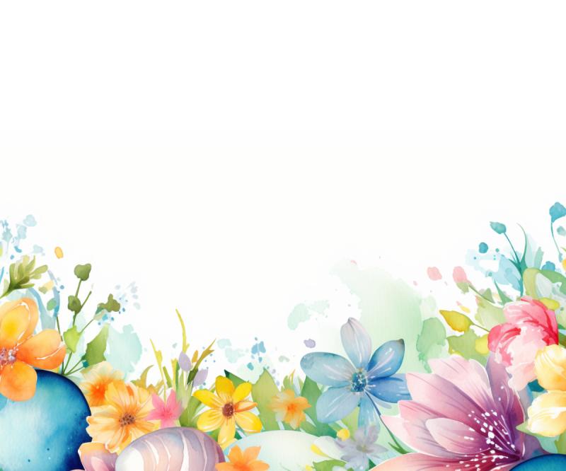 Forest Management and Conservation