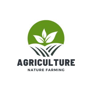 Striking the Balance Sustainable Forestry Practices for Conservation and Production