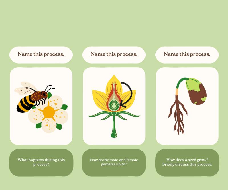 The Significance of Pollinators in Global Food Production