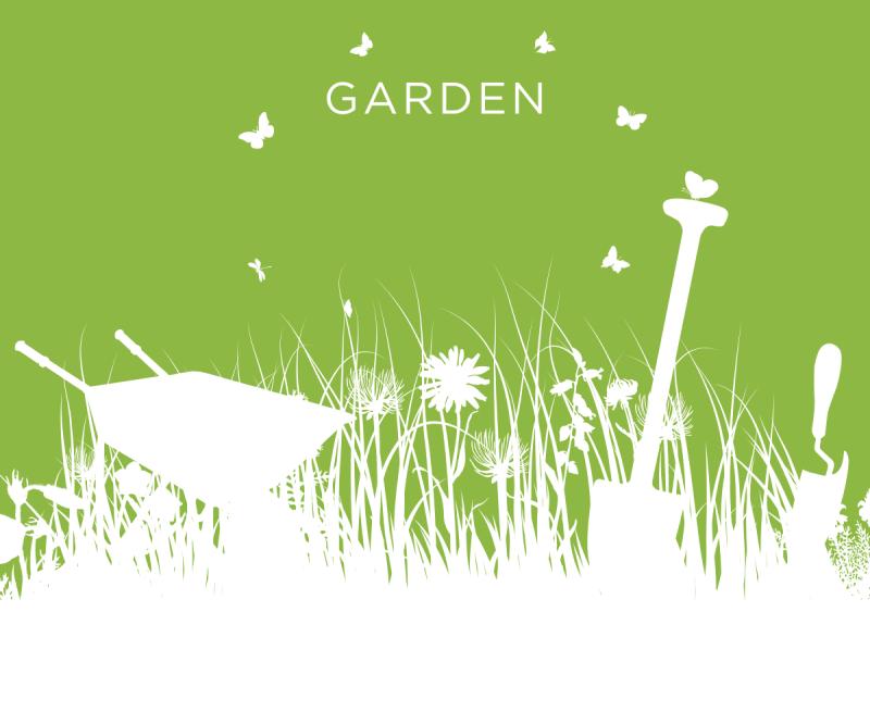 Pest Control in the Garden