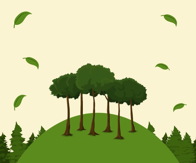 The Effects of Deforestation on Indigenous Communities