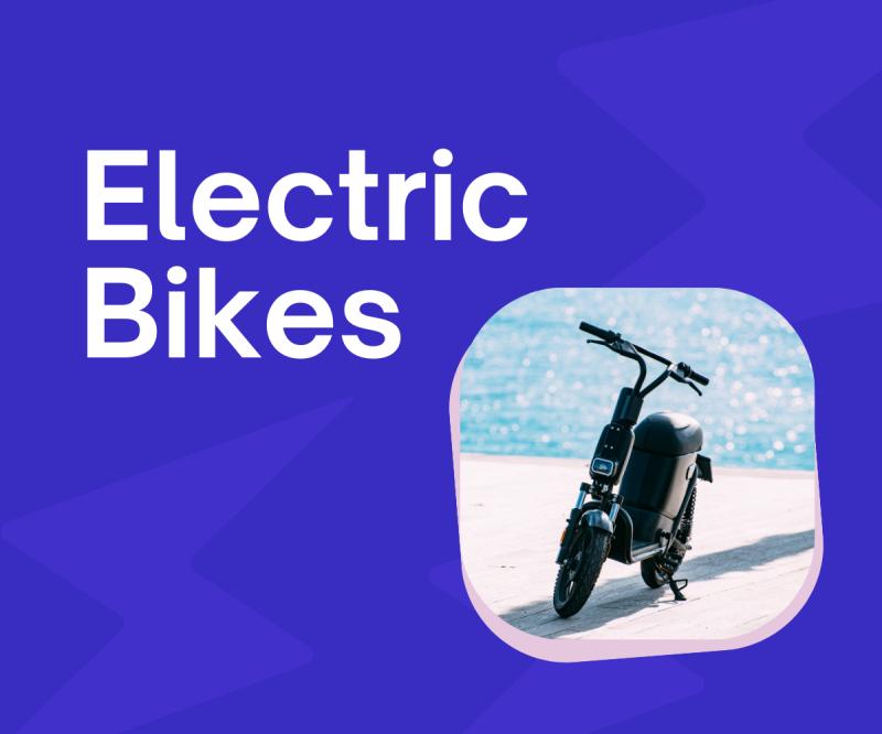 Electric Vehicles (EVs) and Their Impact on the Environment