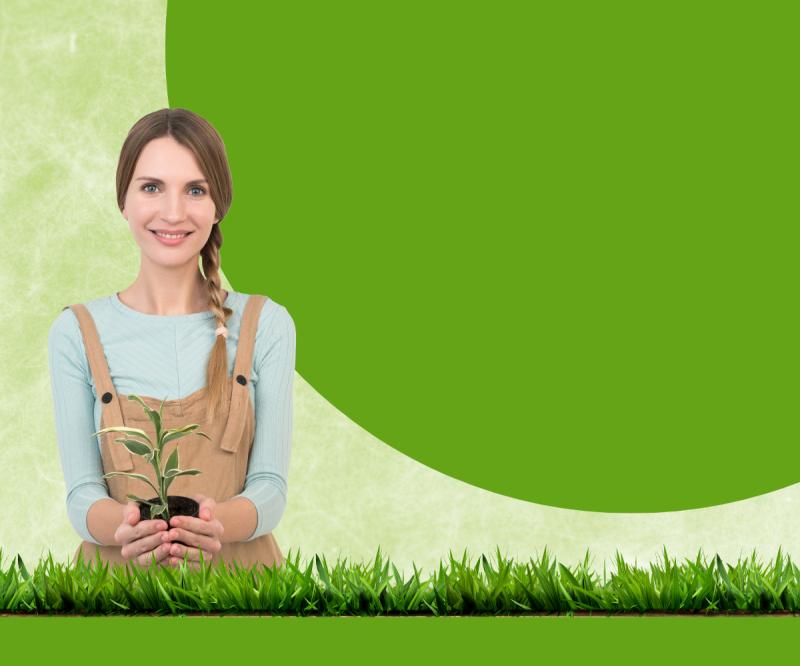 Seasonal Garden Maintenance