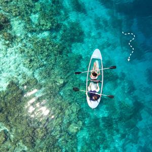 Riding the Rapids The Thrill of Whitewater Kayaking