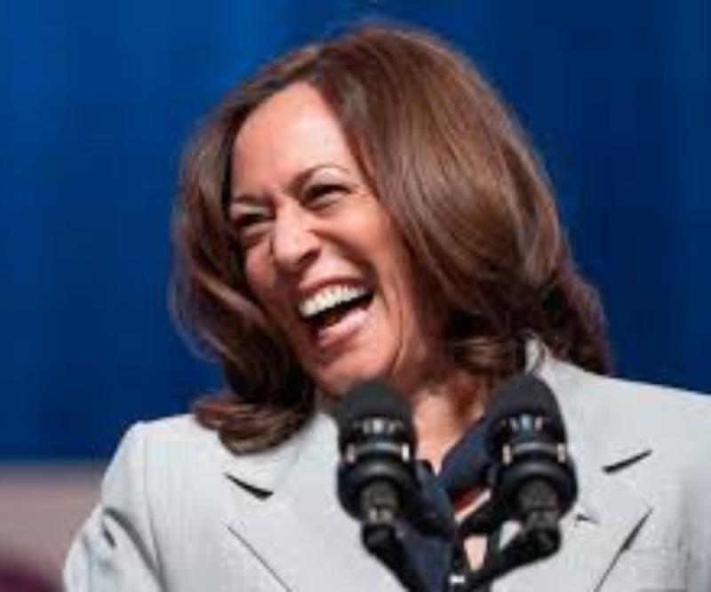 How Kamala Harris is winning over Wall Street
