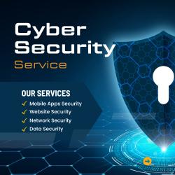 Cybersecurity in the Digital Age Trends and Challenges