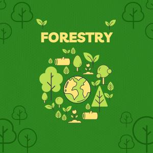 Embracing Agroforestry Enhancing Sustainability in Agriculture