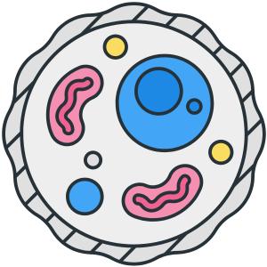 Molecular Biology and Cellular Processes