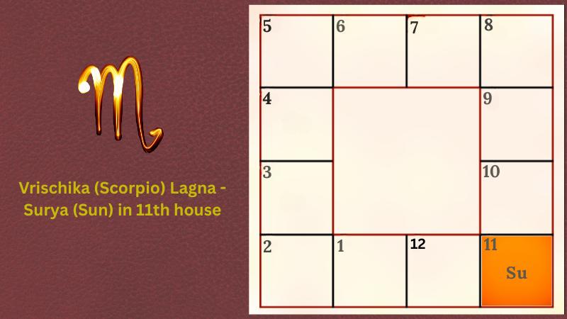 Astrology prediction for Vrischika (Scorpio) Lagna - Surya (Sun) in 11th house