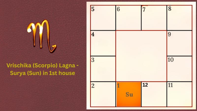 Astrology prediction for Vrischika (Scorpio) Lagna - Surya (Sun) in 1st house