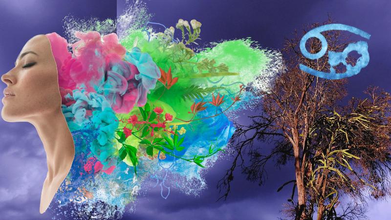 Mars Transit in Cancer: Emotional Challenges and How Each Zodiac Sign Will Be Affected