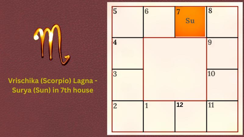 Astrology prediction for Vrischika (Scorpio) Lagna - Surya (Sun) in 7th house