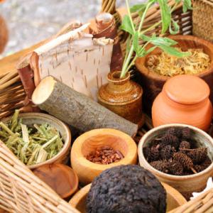 Chile’s Herbal Sector: Balancing Tradition and Modern Health