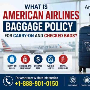 What Is American Airlines Baggage Policy for Carry-On and Checked Bags?