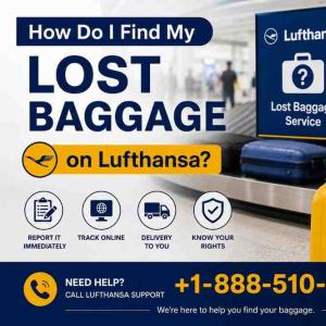 How Do I Find My Lost Baggage on Lufthansa?