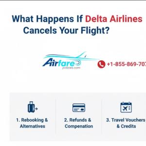 What Happens If Delta Airlines Cancels Your Flight?