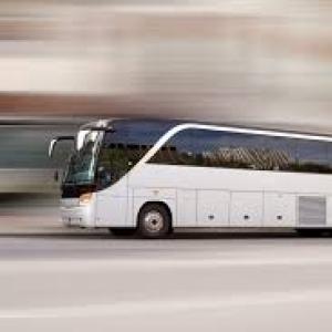 Party Bus Rental: The Ultimate Way to Celebrate on the Move