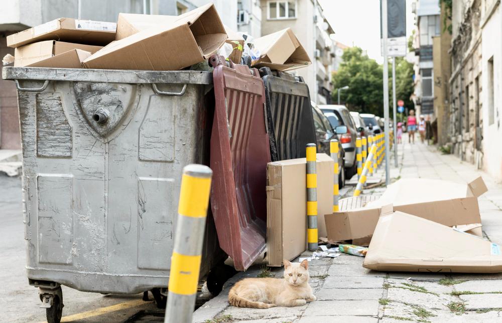 Top 7 Skip Hire Services for Commercial Waste Disposal
