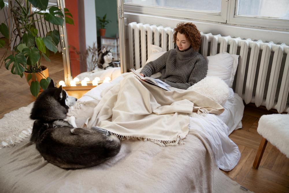 Top 7 Plush Bed Covers Every Stylish Bedroom Needs