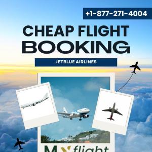 Real Passenger Stories: Fixing Name Mistakes Hours Before Takeoff on Qatar Airways Ticket