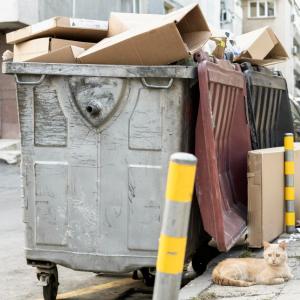 Top 7 Skip Hire Services for Commercial Waste Disposal
