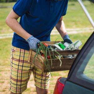 How to Choose the Right Skip for Waste Removal