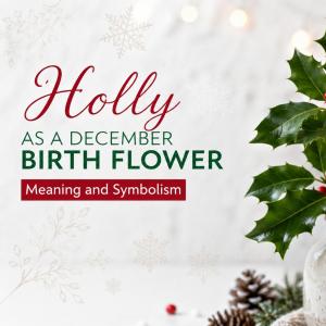 Holly as a December Birth Flower: Meaning and Symbolism