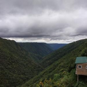 Top Places to Visit in Shillong