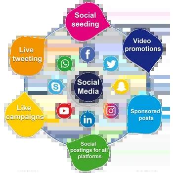 Social Media Marketing Company in Dehradun – Zaclab Technologies Pvt. Ltd.