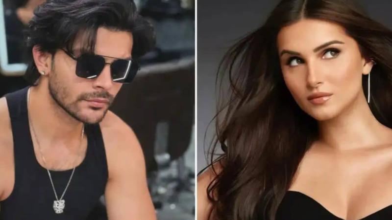 Tara Sutaria and Veer Pahariya Spark Dating Rumours After Flirty Instagram Exchange
