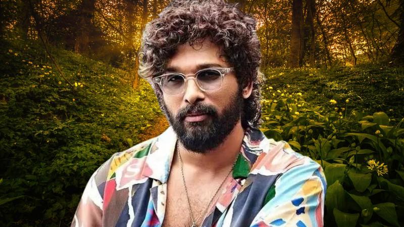 Allu Arjun's Fans Associations: Is Publicity a Bad Move for His Image?