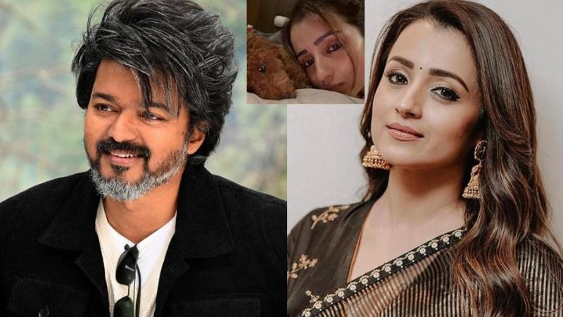 Trisha Krishnan&rsquo;s Witty Instagram Response Amid Vijay Rumours