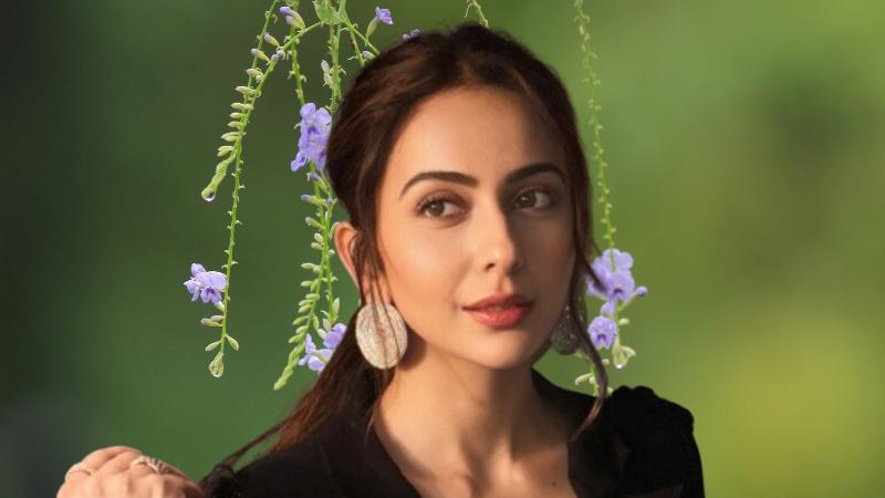 Rakul Preet Singh Shines In Hot Street Style As De De Pyaar De 2 Celebrates 100 Cr Success