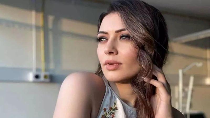 Hansika Motwani&rsquo;s Birthday Post Sparks Divorce Rumours With Sohael Khaturiya