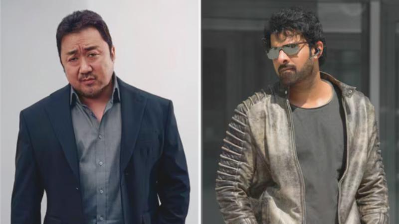 Korean Media Confirms Don Lee&rsquo;s Role in Prabhas&ndash;Sandeep Vanga&rsquo;s Spirit