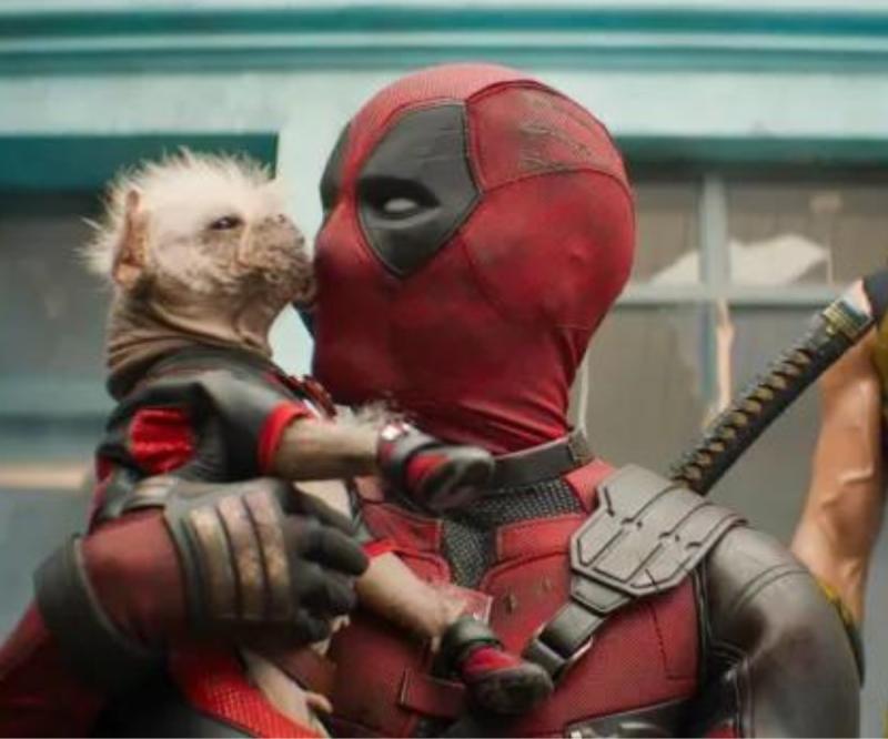 Deadpool & Wolverine Advance Booking Opens For Indian Fans