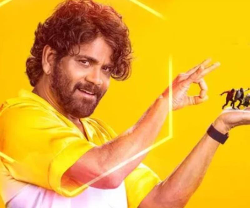 Big Boss Telugu 8 Involves Controversial Contestant