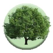 Heritage Montessori Academy of Allen