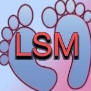 Little Steps Montessori School
