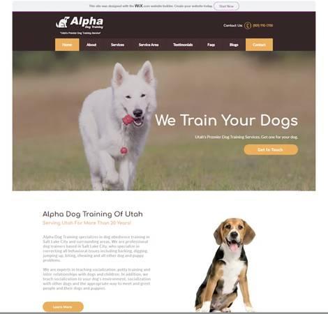 Unveil Your Brand's Potential with Our Elite 3-5 Page Wix Website (Frisco)