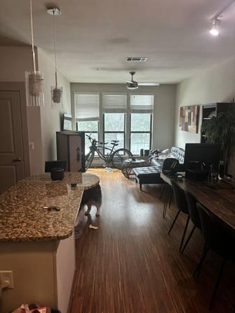 $2,300 / 1br - Need a May 19 - June 13th sublet near downtown Austin?