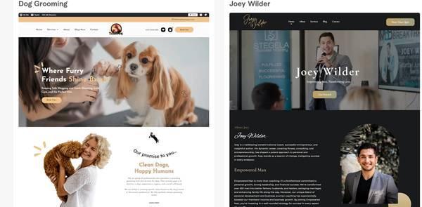 Get a High-converting Website and Logos (Webster)