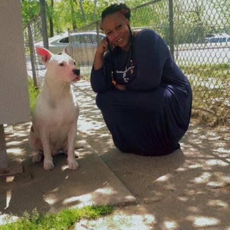 $50.00 / Night Dog Boarding - Fur Babies Love 2 Have Fun Too