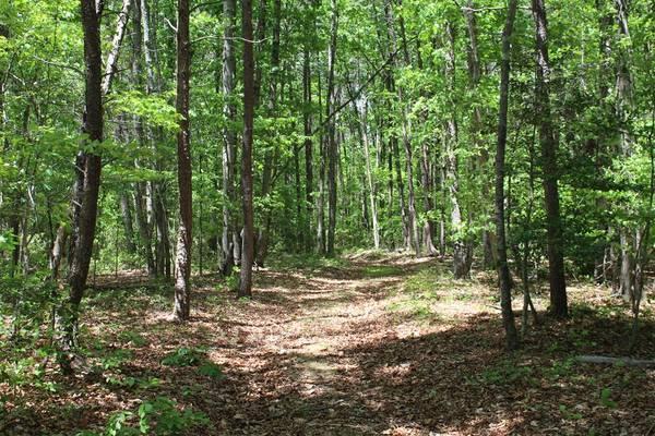 $1,099,000 128 Acres in Locust Grove, VA