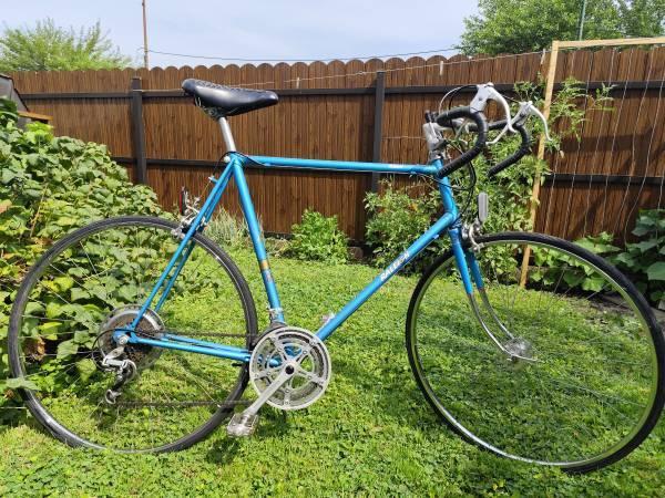 Tall Raleigh Reliant - $250 (Chicago)