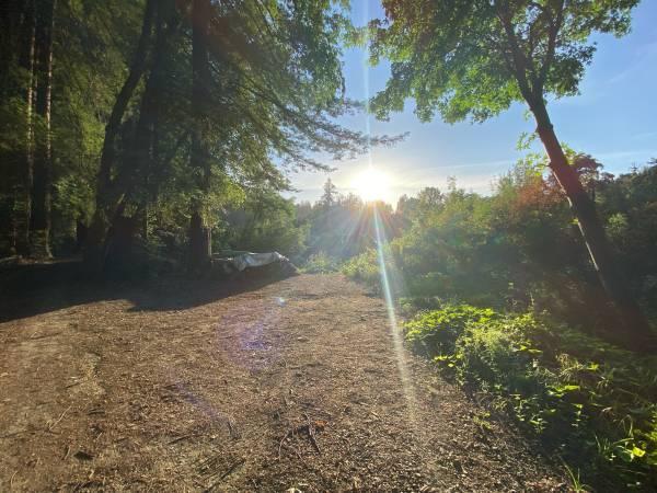 $30,000 Riverfront Recreational Lot in Forestville (russian river)