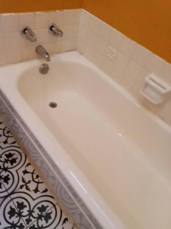 🏡House cleaner🏠 (santa clara)